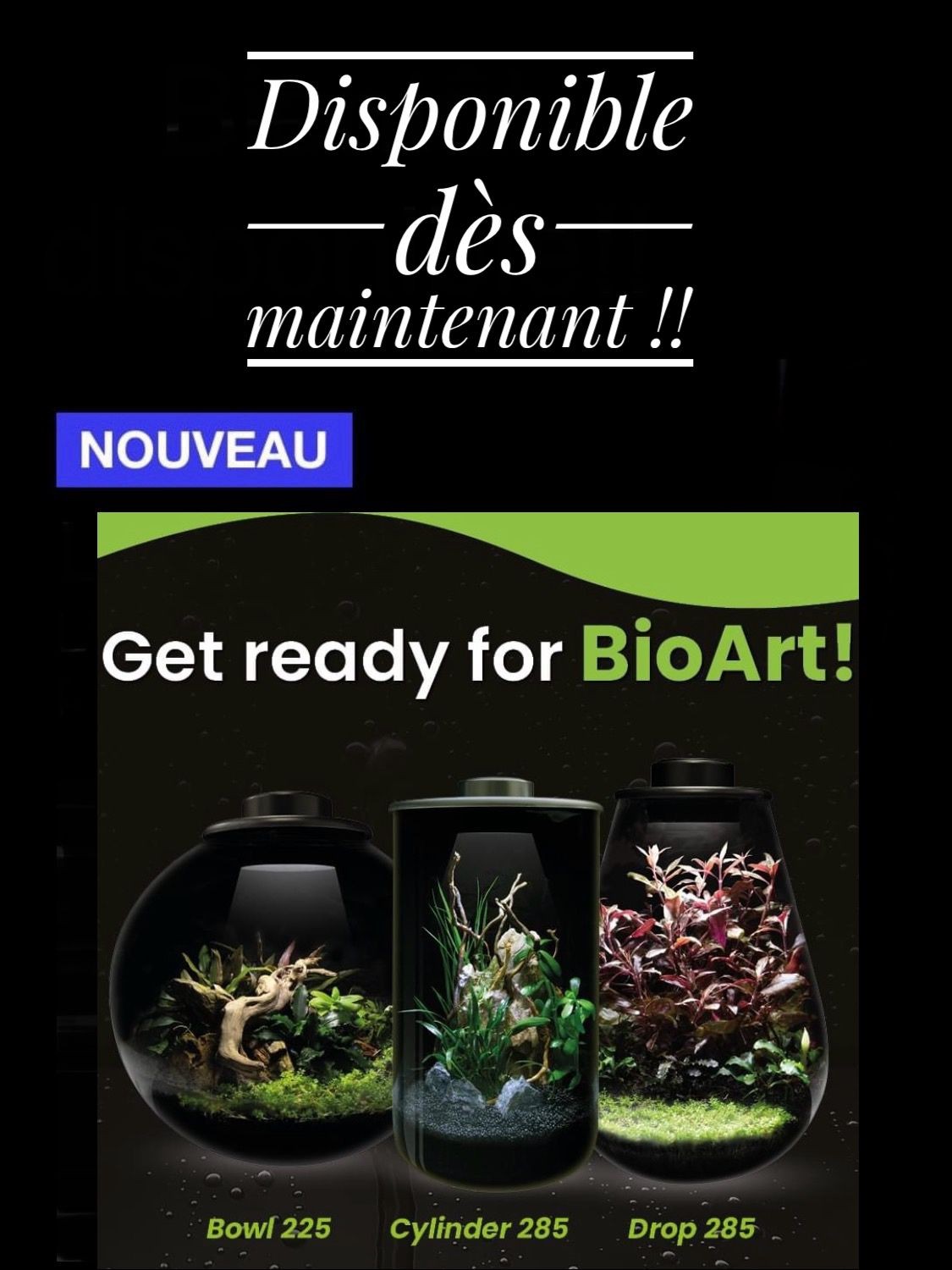 BioArt